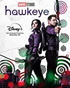 Hawkeye All Seasons Hindi 480p 720p HD Download FilmyMeet Filmyzilla Filmywap
